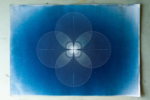 'Quartet I' - Cyanotype on handmade paper
