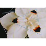 White Iris - Botanical Geometry Study